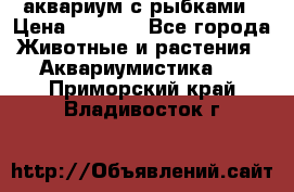 аквариум с рыбками › Цена ­ 1 000 - Все города Животные и растения » Аквариумистика   . Приморский край,Владивосток г.